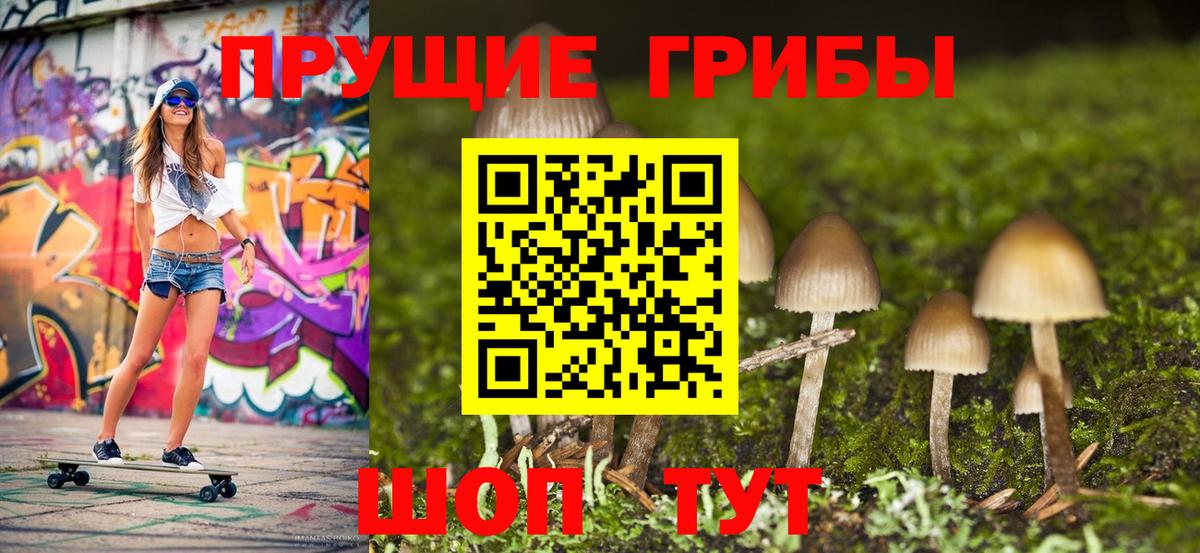 Псилоцибиновые грибы Magic Shrooms  Вход с VPN  Кудымкар 
